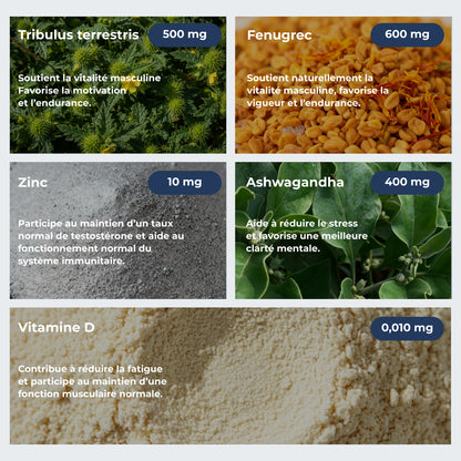 Complément essentiel pour homme