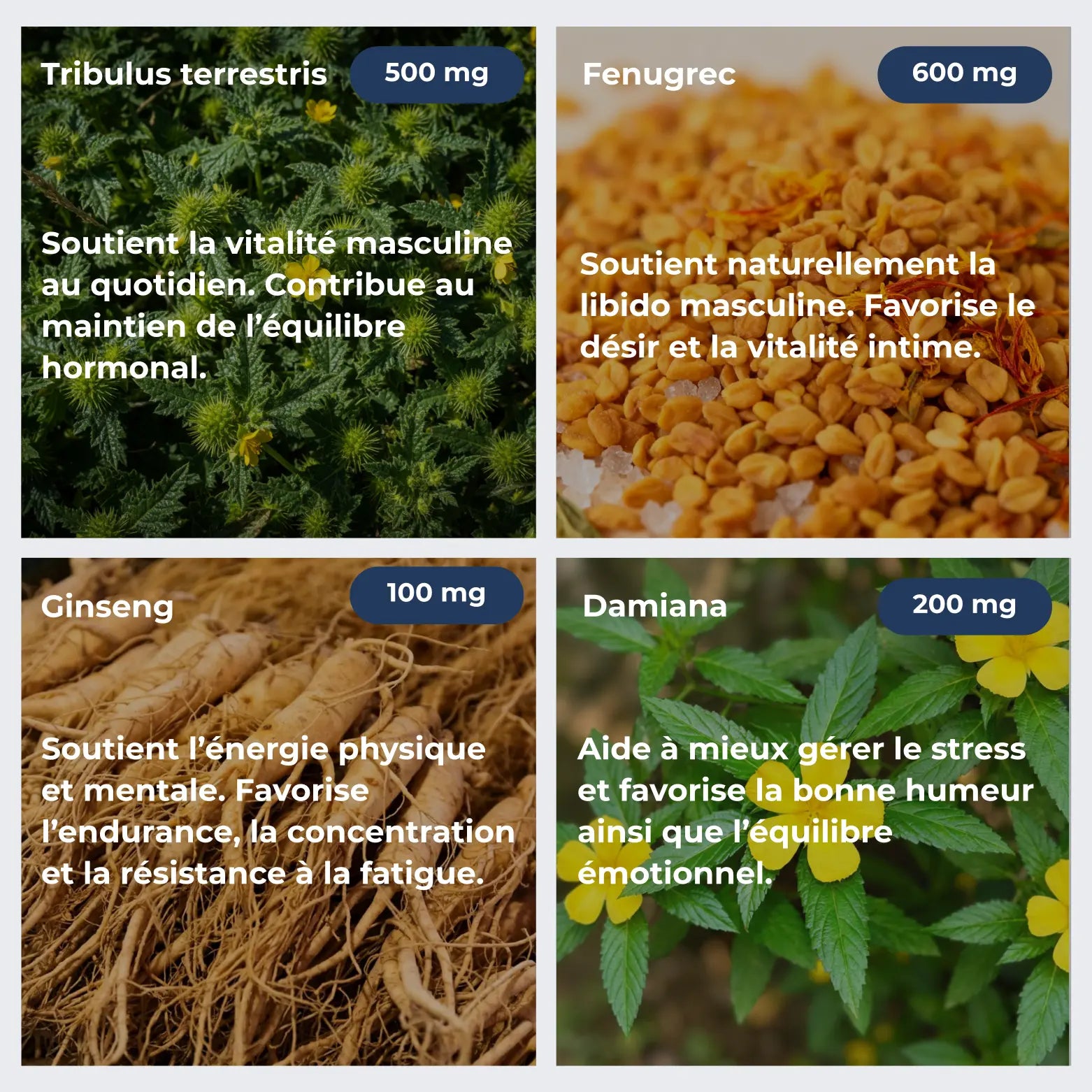 Complément essentiel pour homme